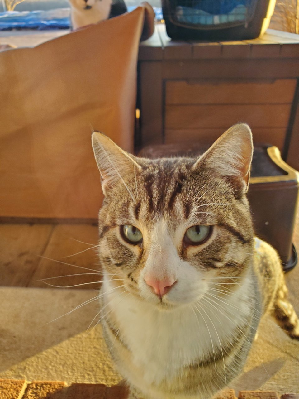20211230_163437.jpg
