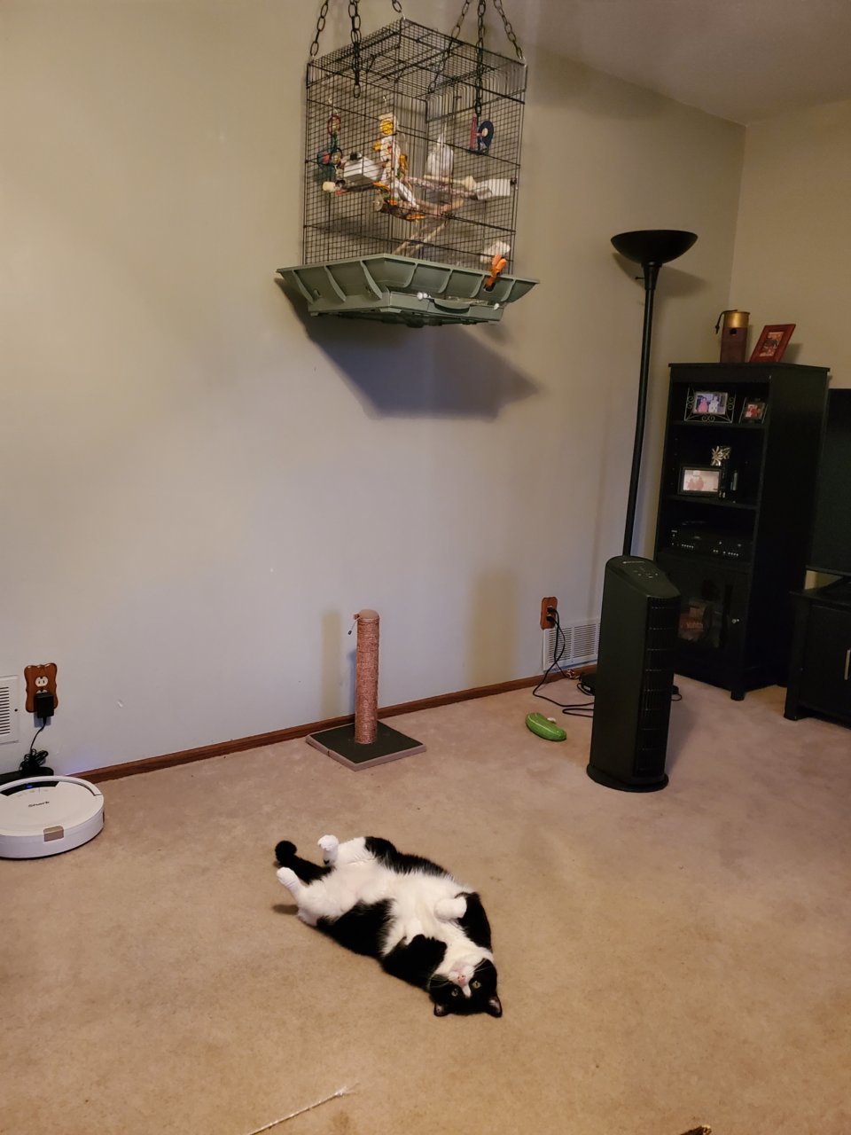 20211230_171107.jpg