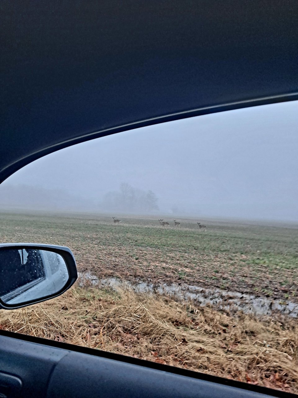 20211231_073525.jpg