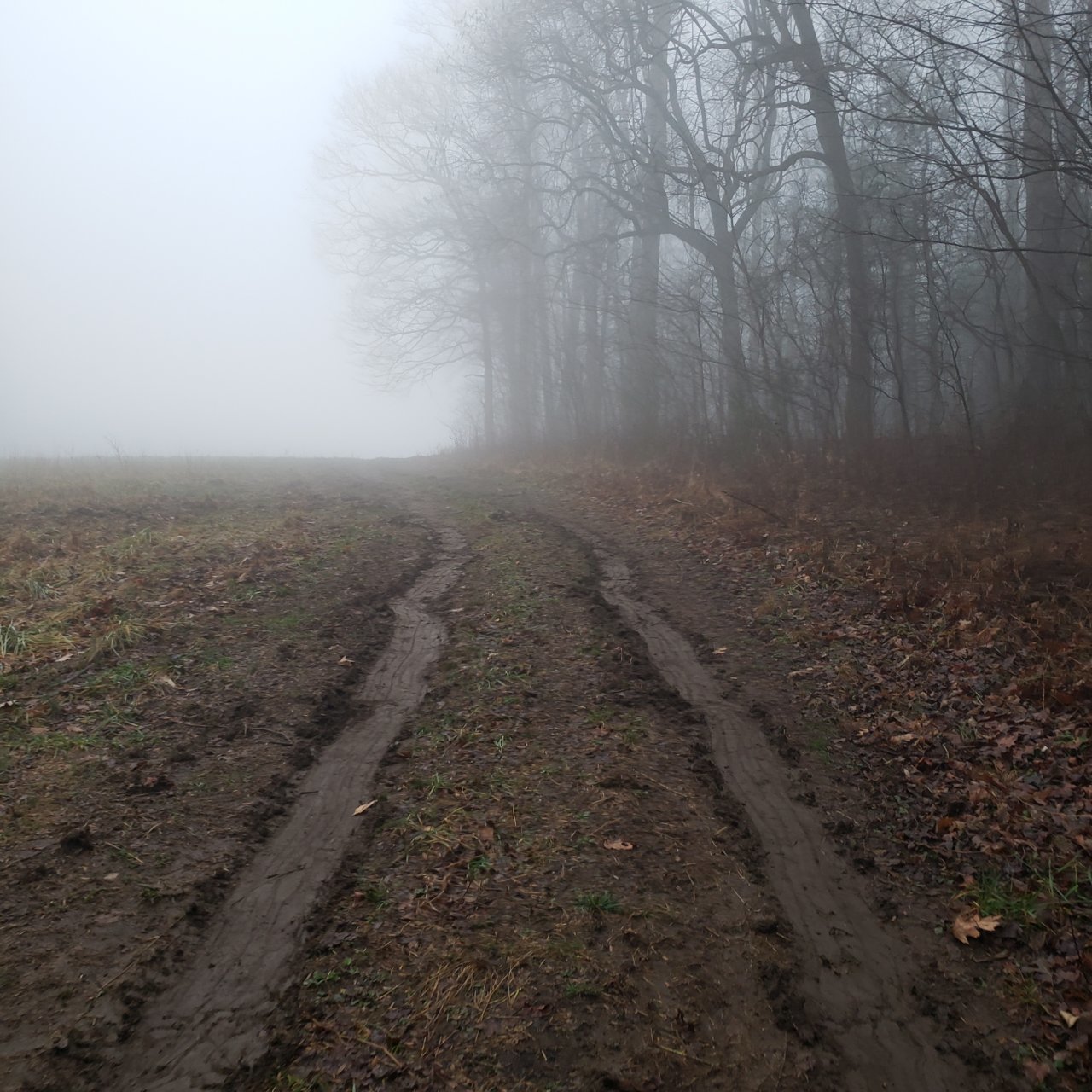 20211231_162831.jpg