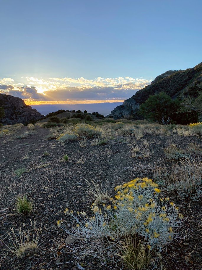 2022 09 Diamond Range MCC camp sunrise.jpg