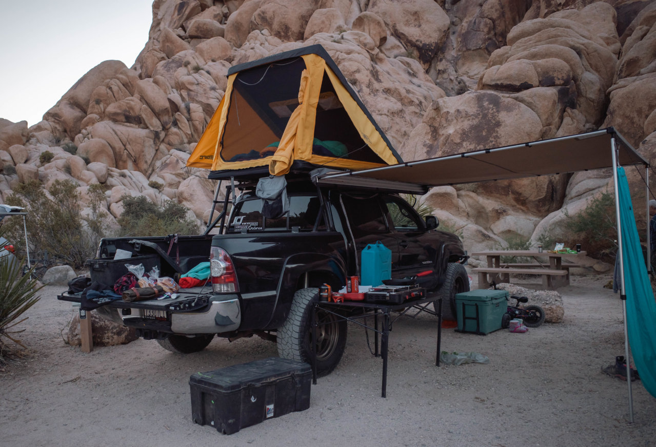 2022 joshua tree-29.jpg