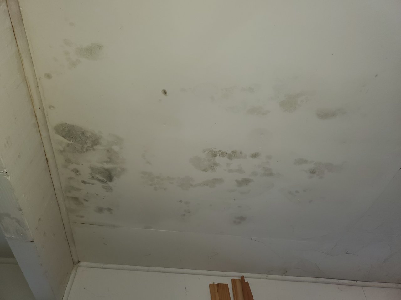20220101_123437.jpg