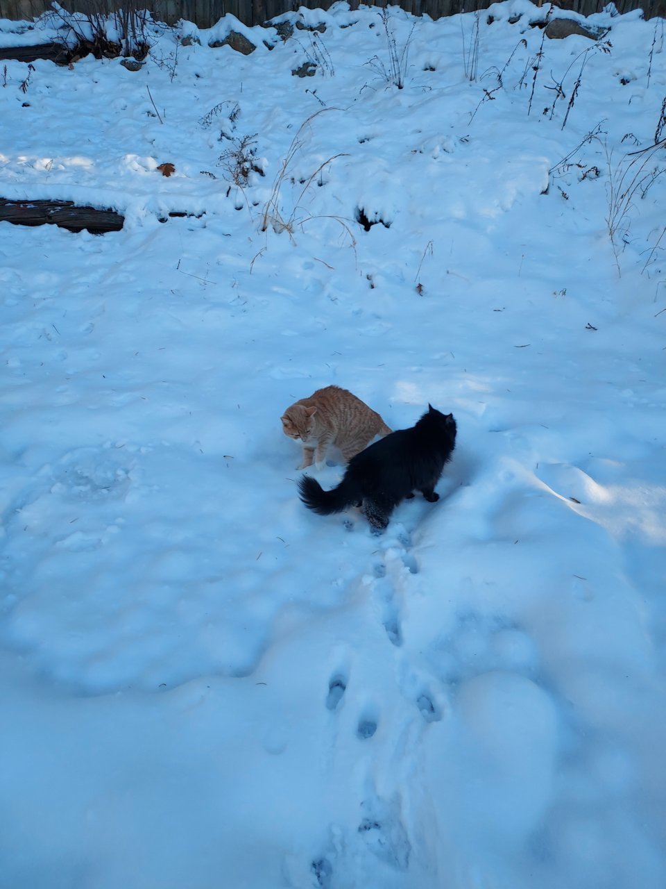 20220107_092048.jpg