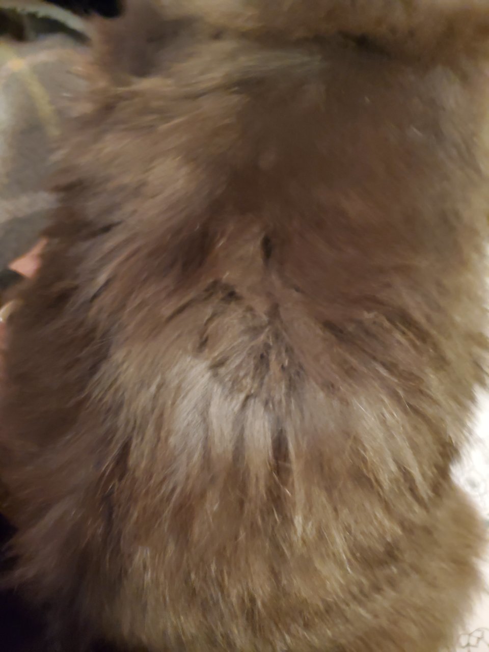 20220112_232959.jpg