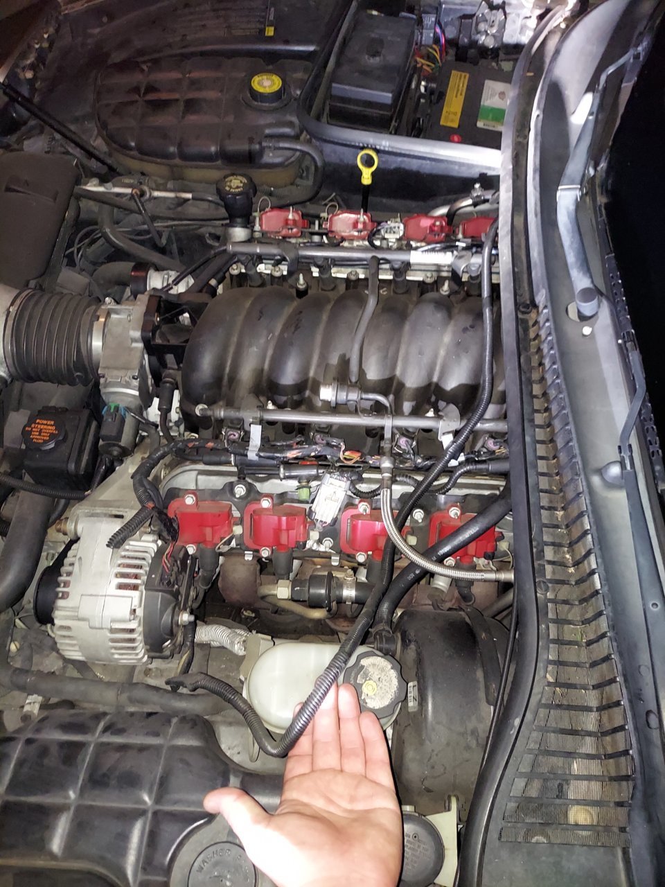 20220117_204919.jpg