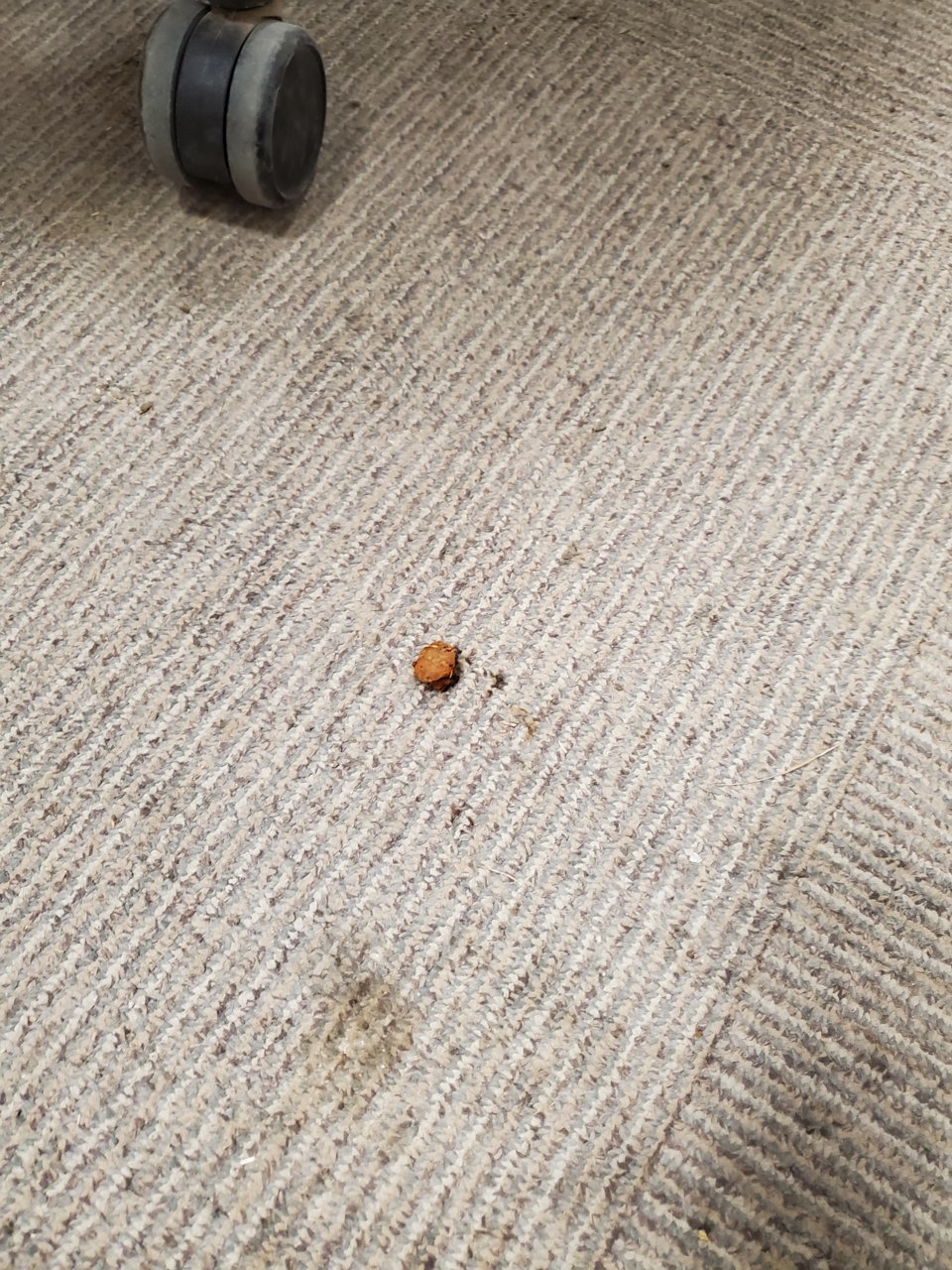 20220118_063446.jpg