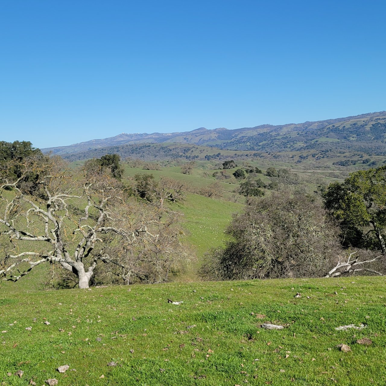 20220120_111557.jpg