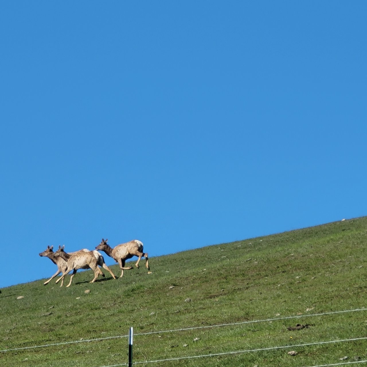20220120_113645.jpg