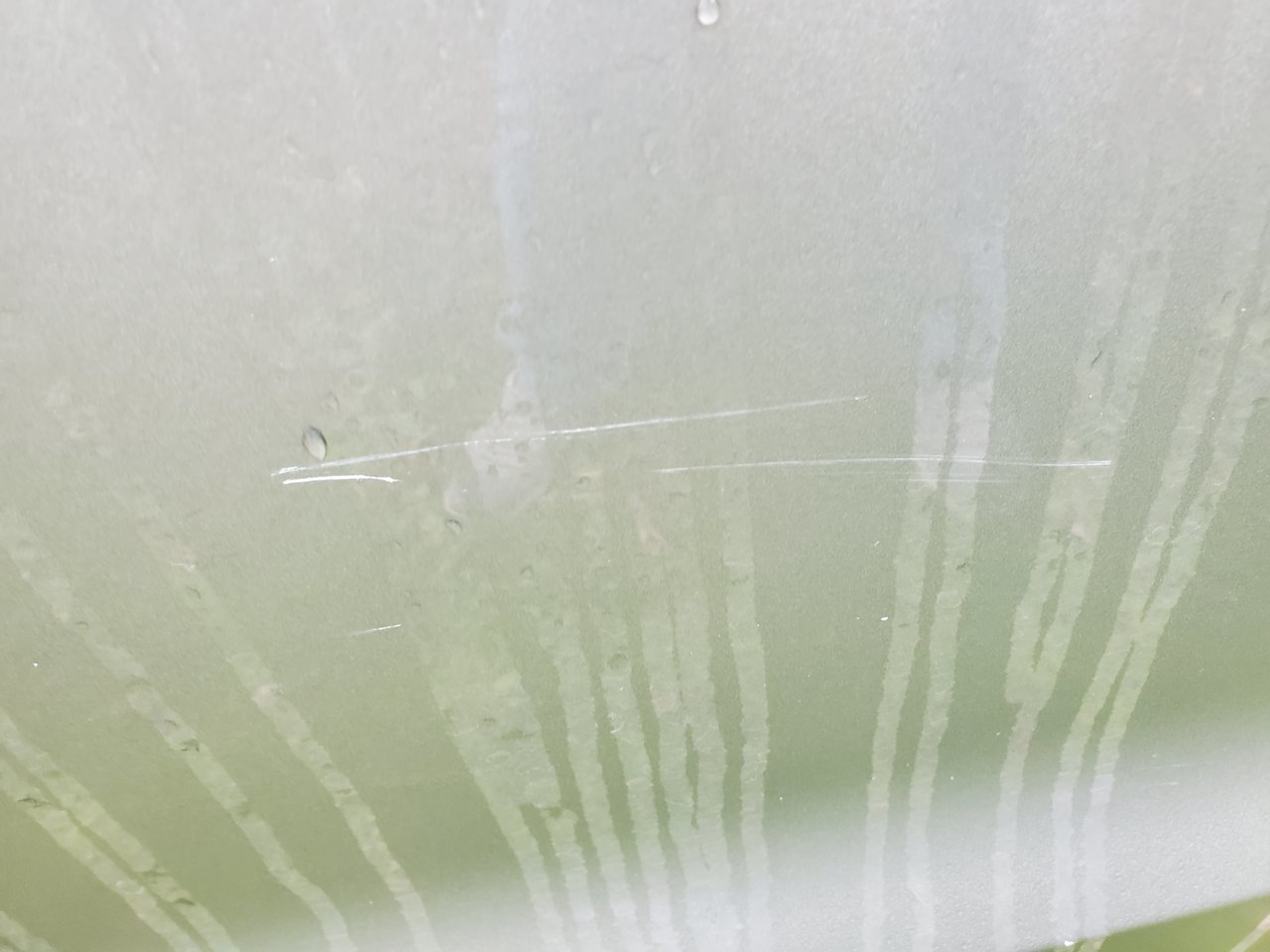 20220122_094412.jpg