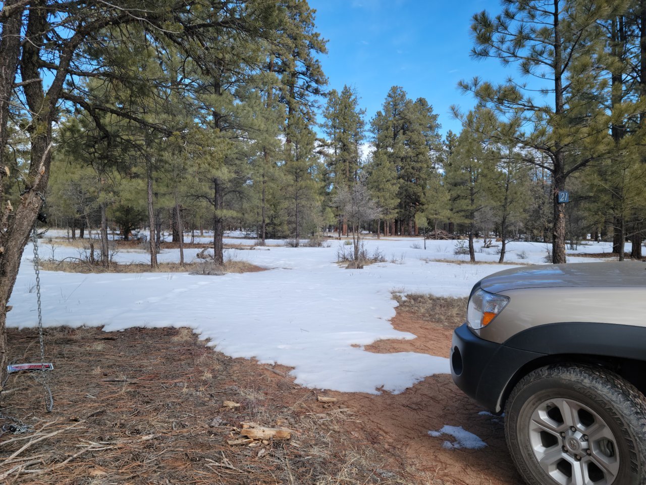 20220122_110018 - Copy.jpg