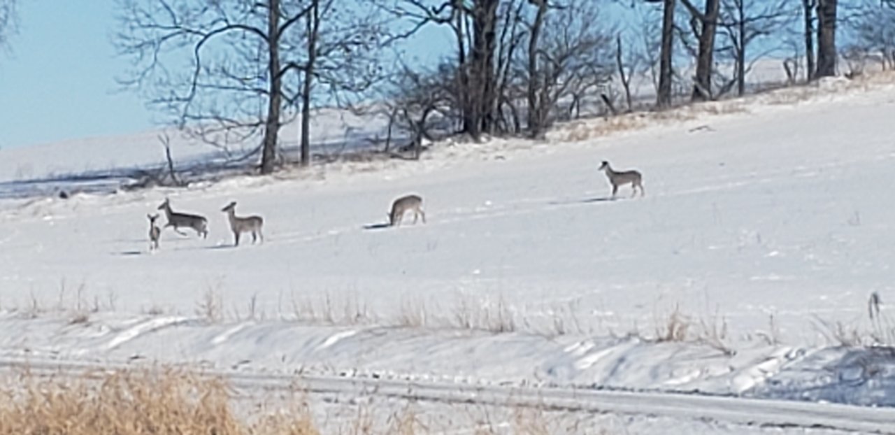 20220123_114319.jpg