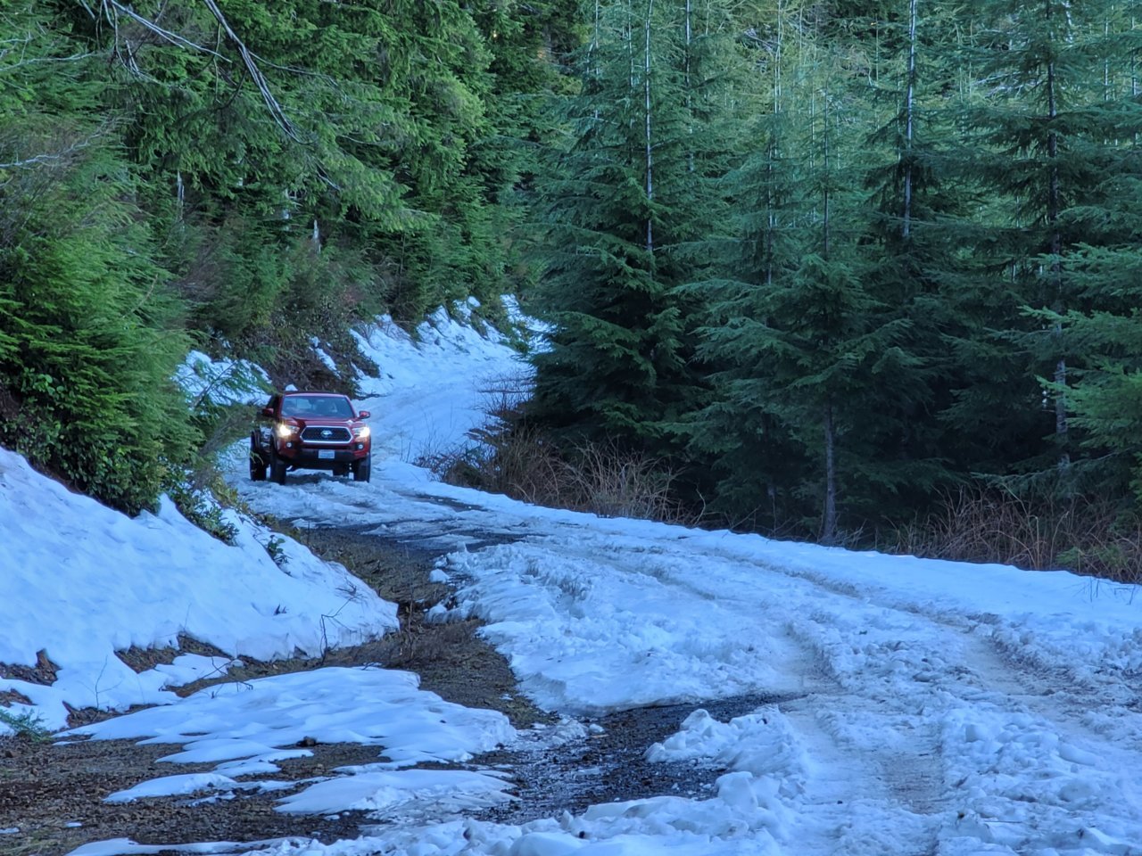 20220123_115656.jpg