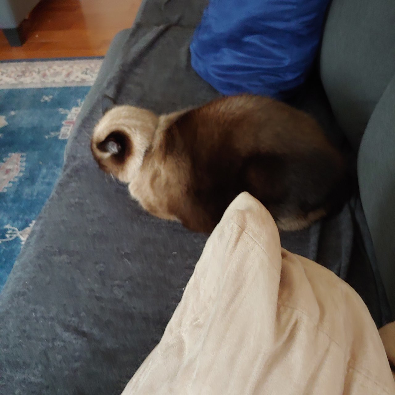 20220123_151130.jpg