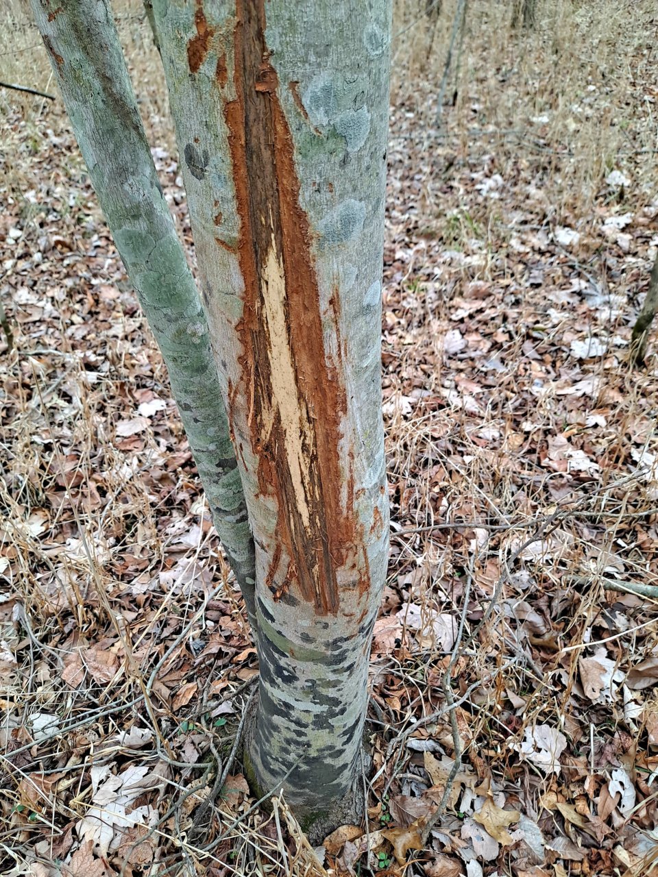 20220124_100650.jpg