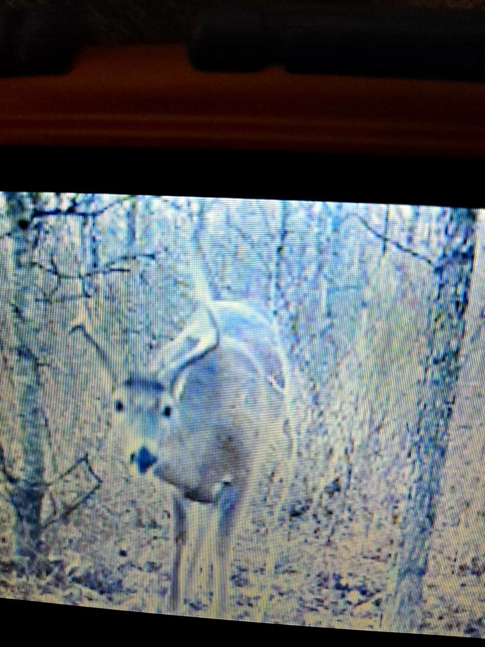 20220124_144948.jpg