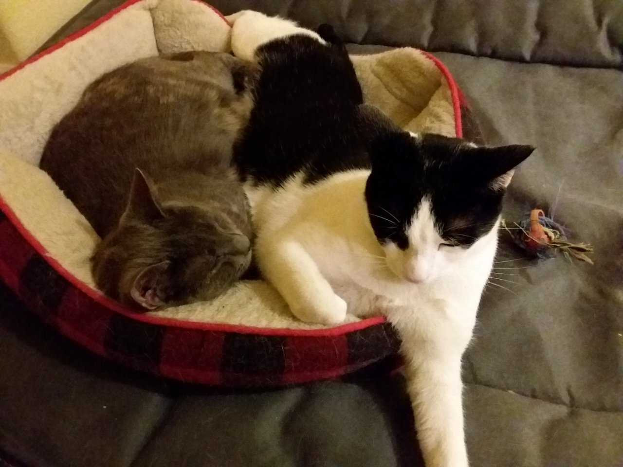 20220126_010627.jpg