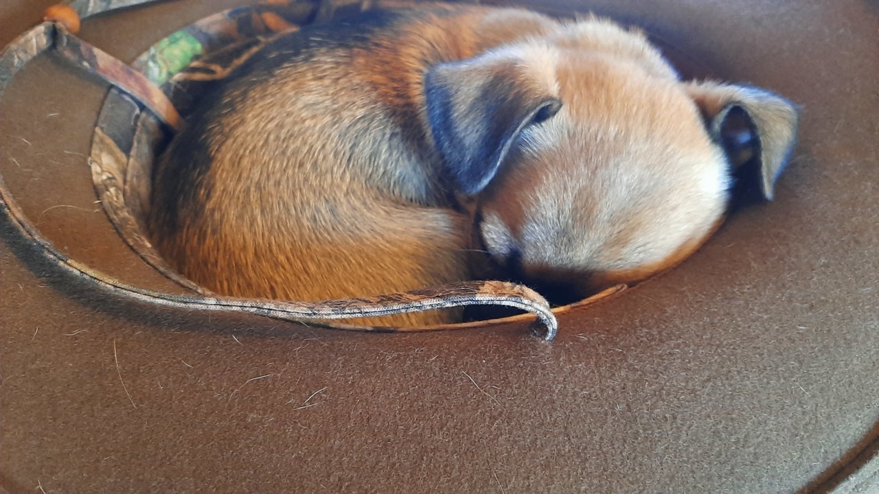 20220128_120839.jpg