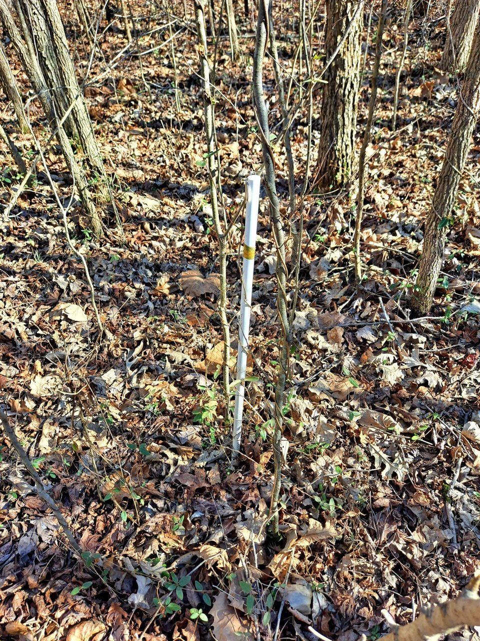 20220129_133146.jpg