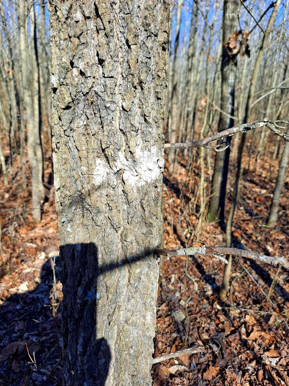 20220129_133323.jpg