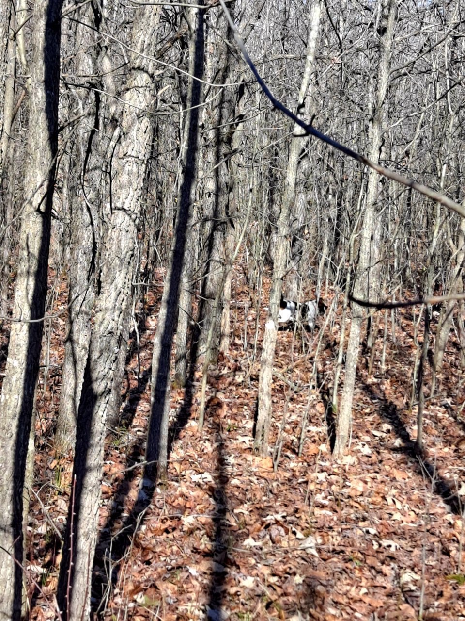 20220129_133339.jpg