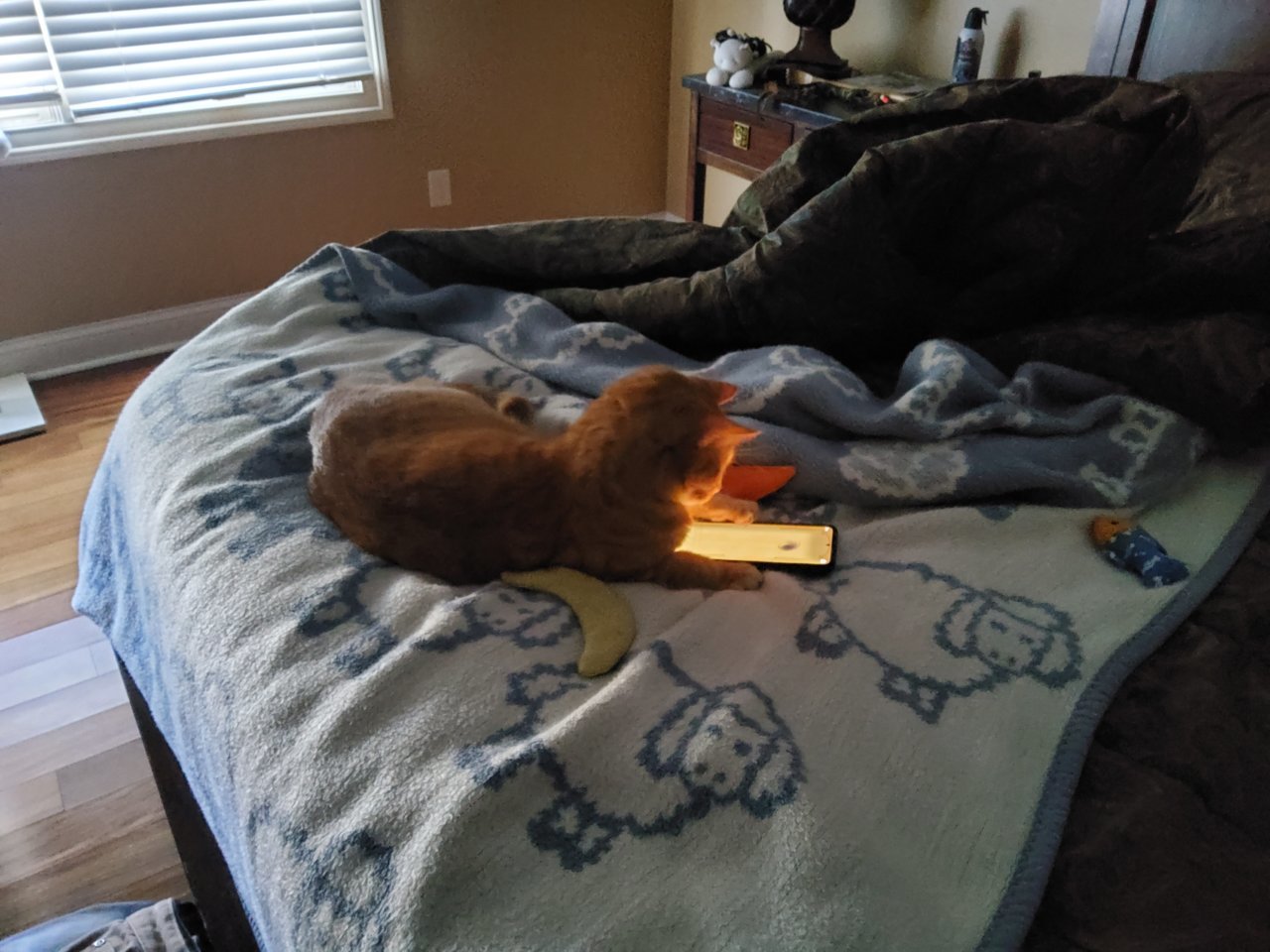 20220129_154412.jpg