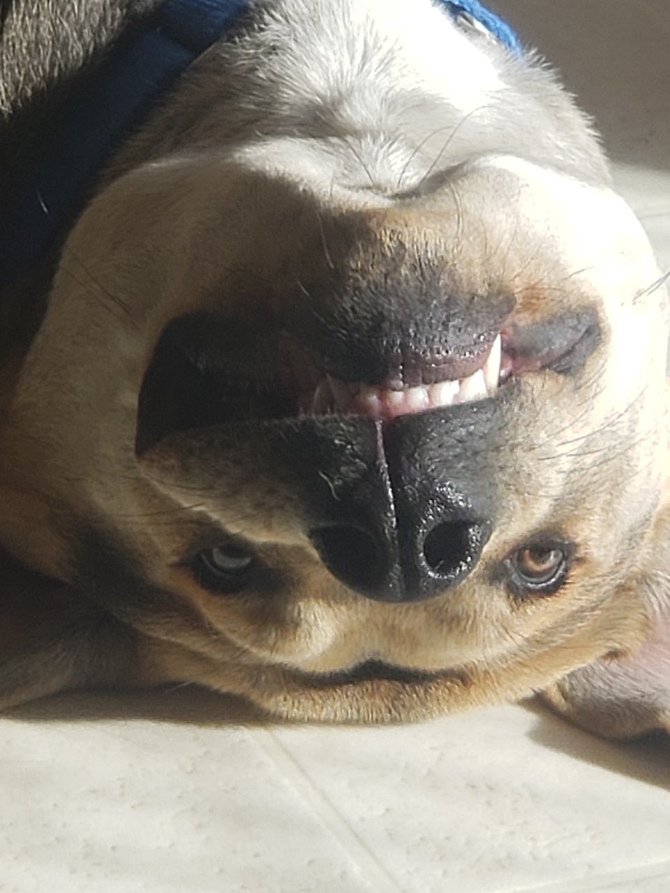 20220130_143907.jpg