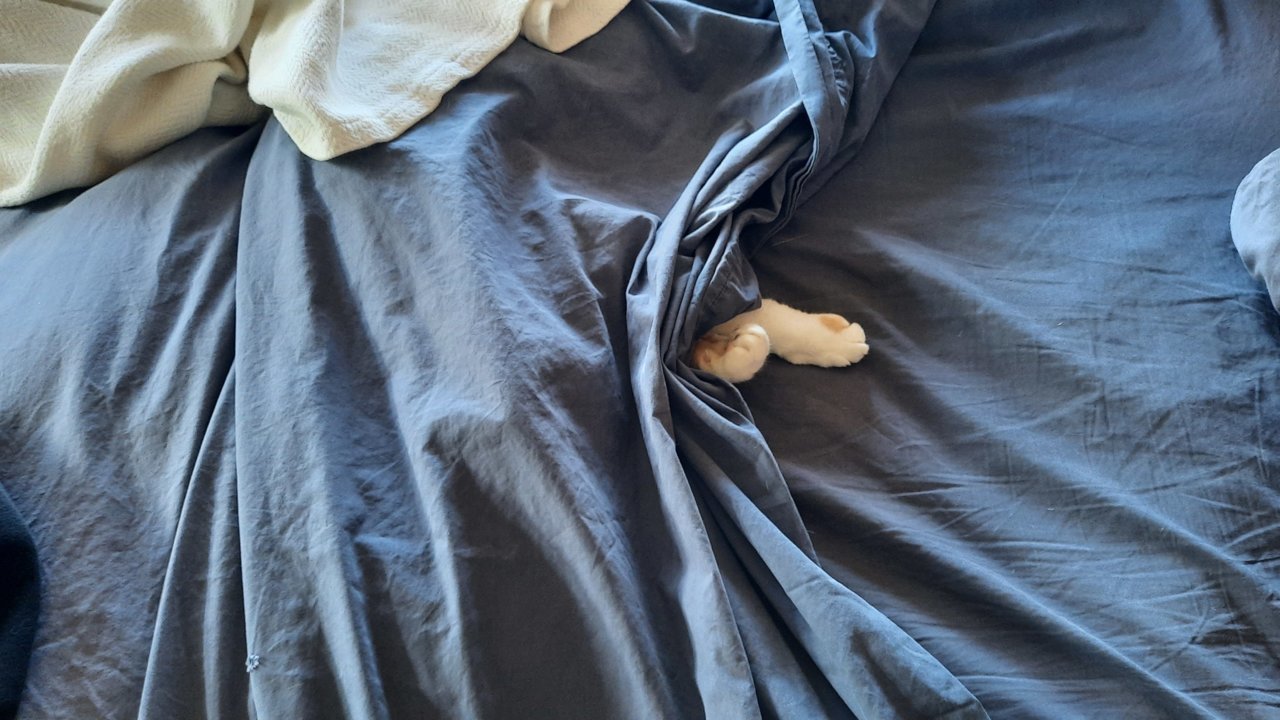 20220131_113704.jpg