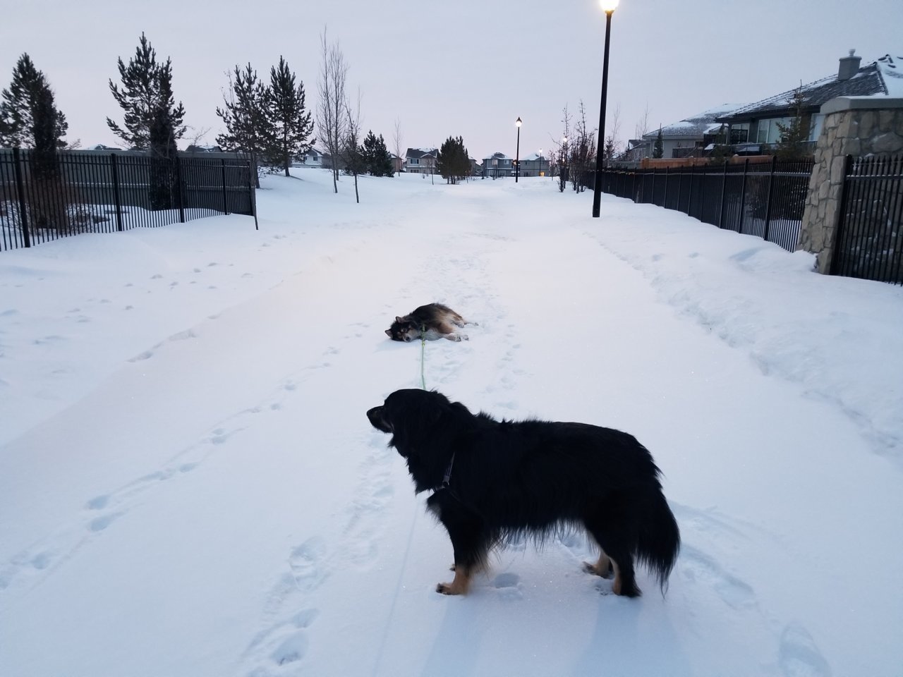 20220204_075407.jpg