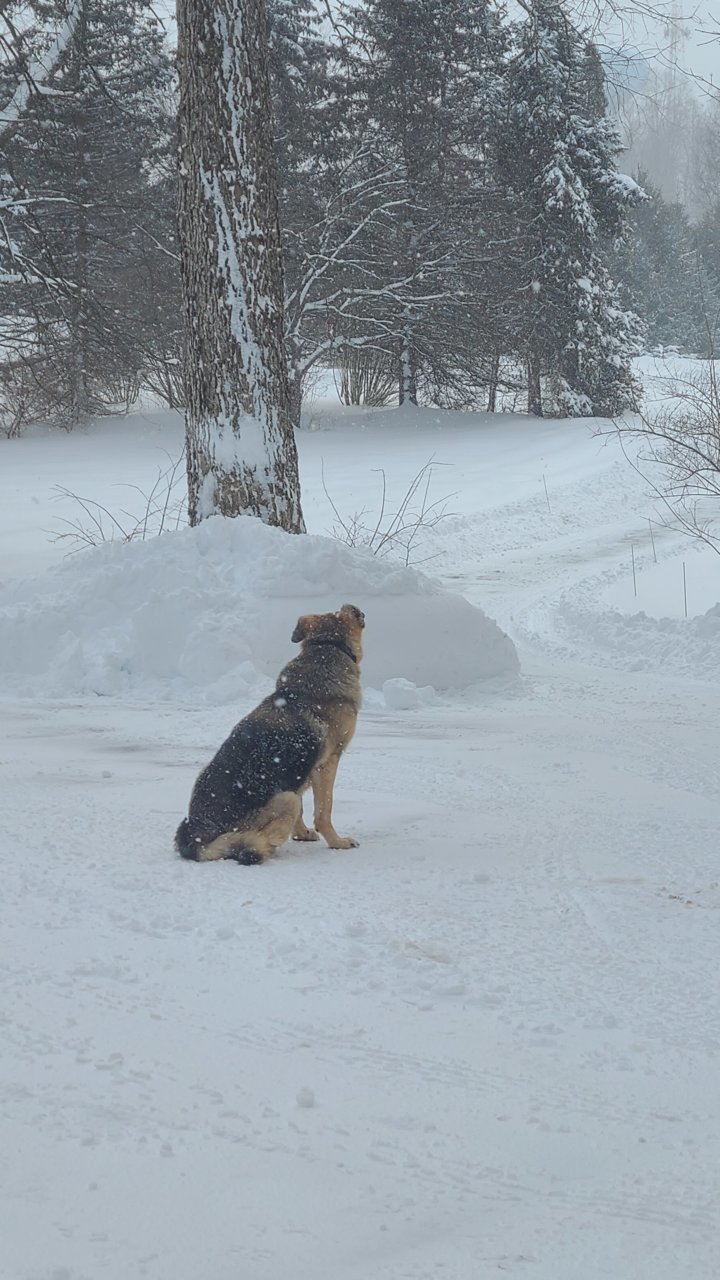 20220204_125610.jpg