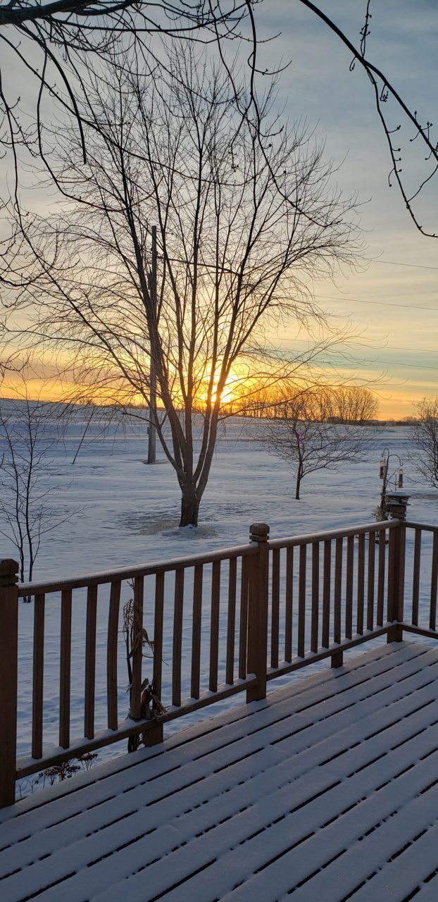 20220205_072105.jpg