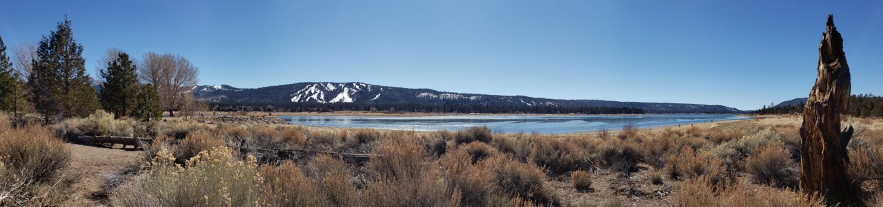 20220206_130147.jpg