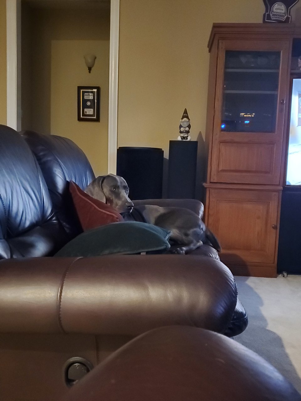 20220208_175243.jpg