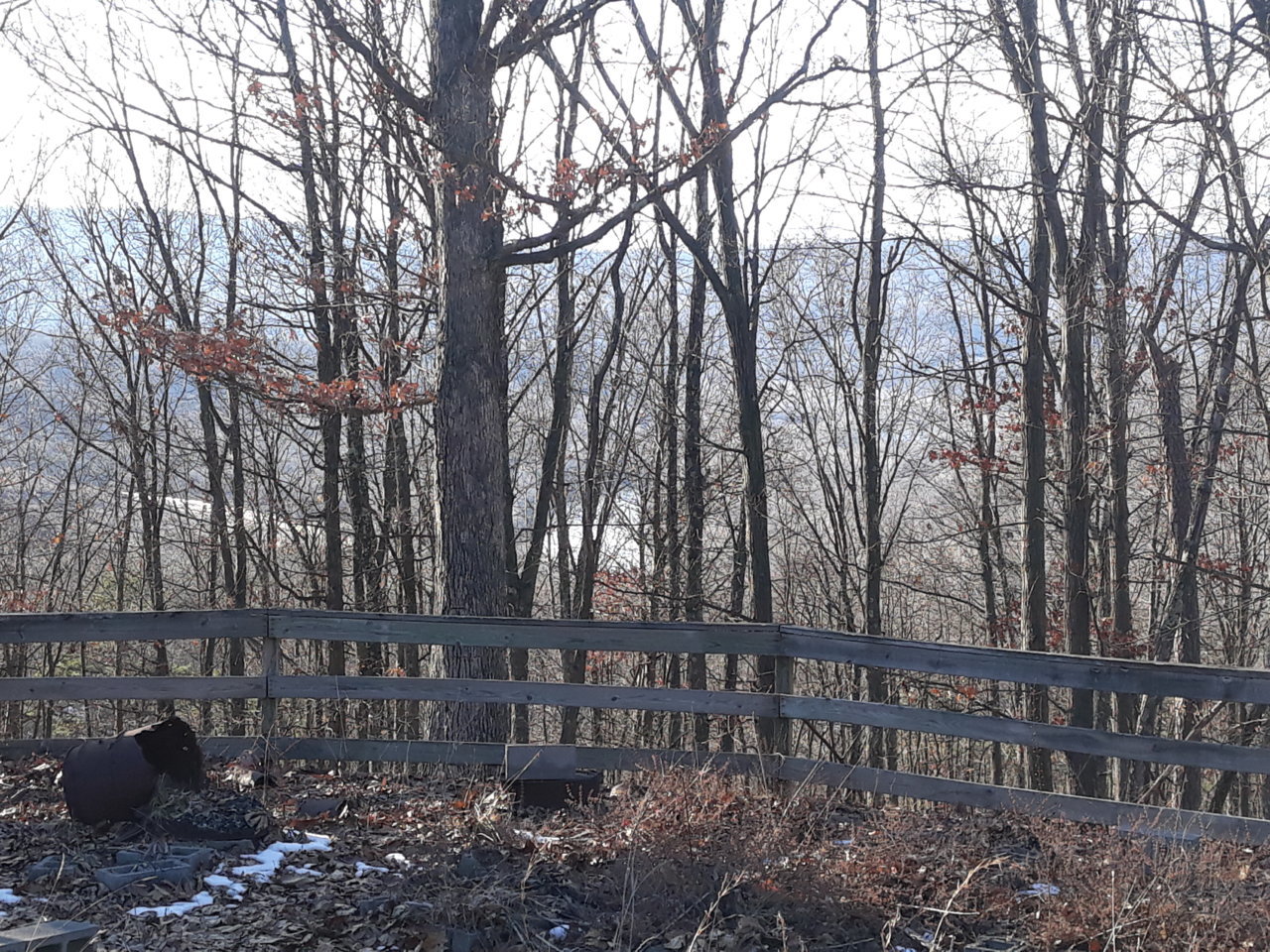 20220209_160327.jpg