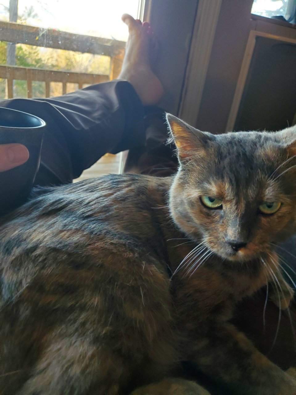 20220210_074344.jpg