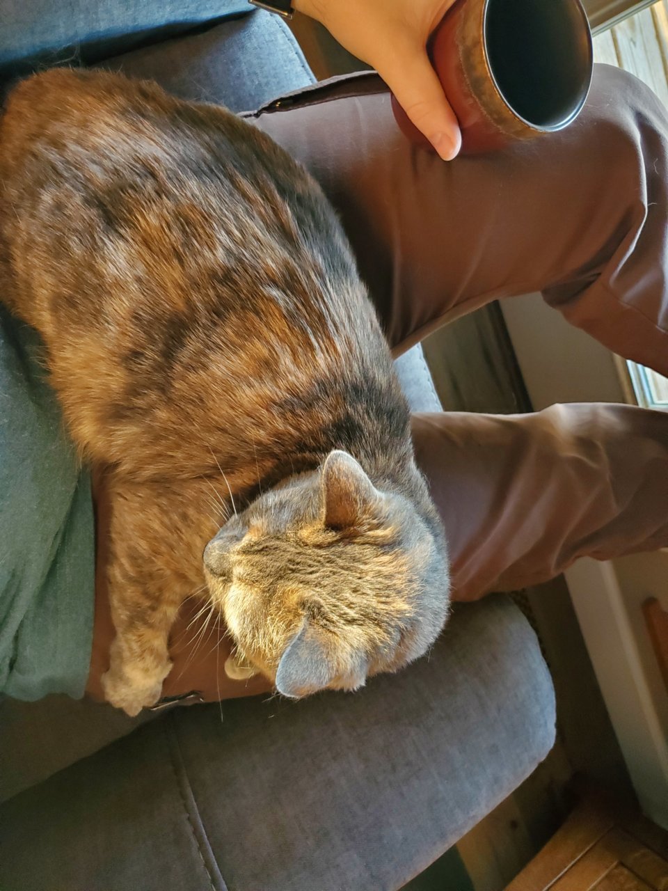 20220210_075144.jpg