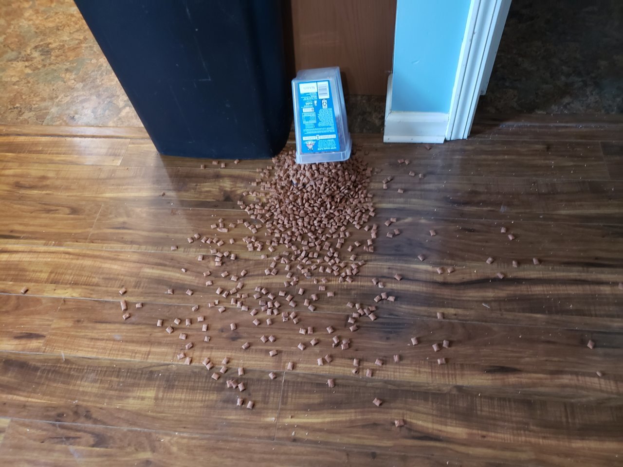 20220210_155955.jpg