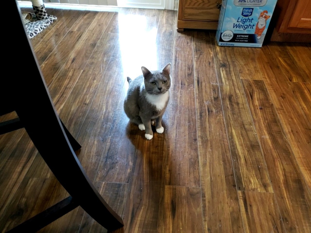 20220210_160001_capture(0).jpg