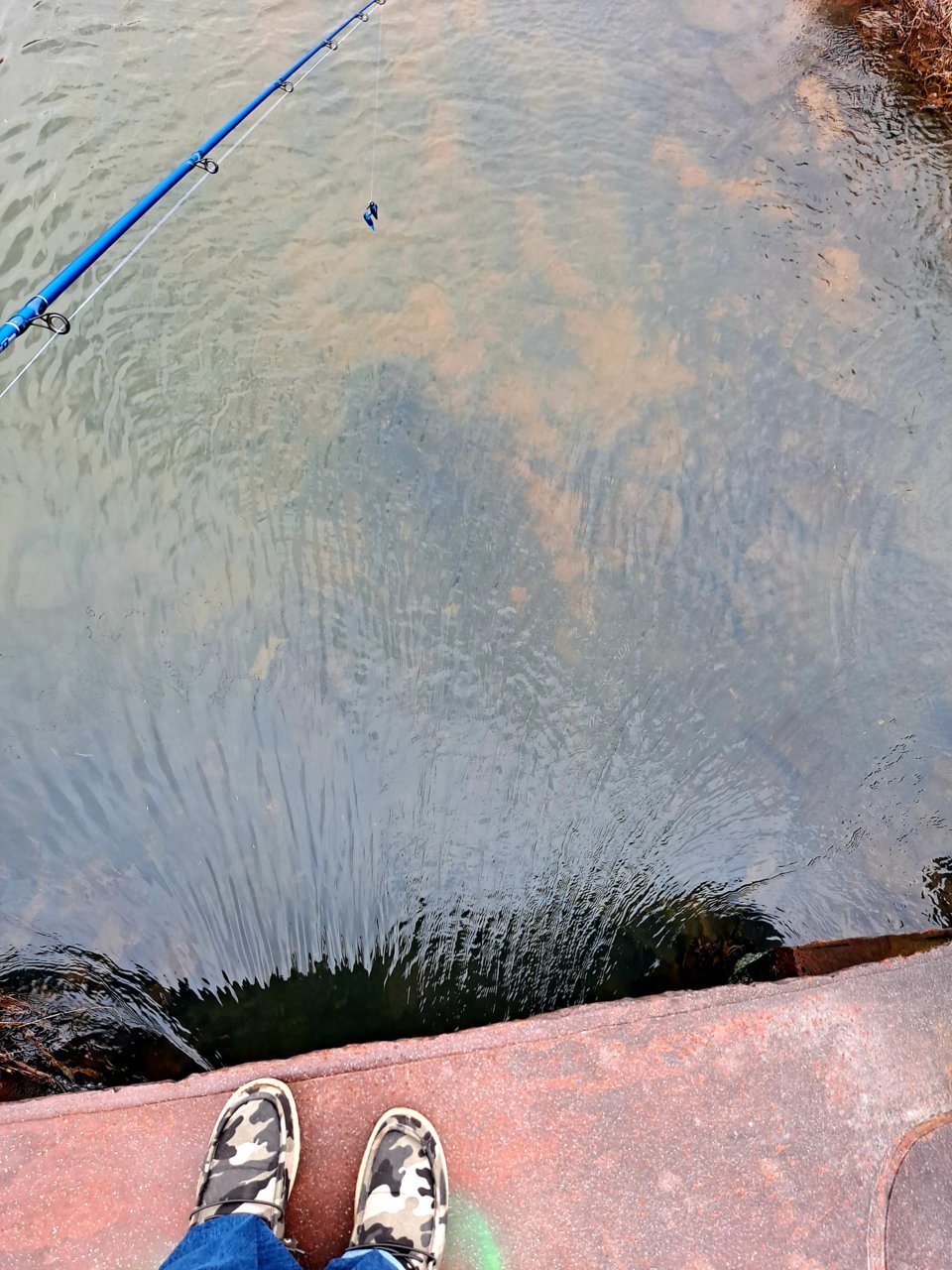 20220211_133134.jpg