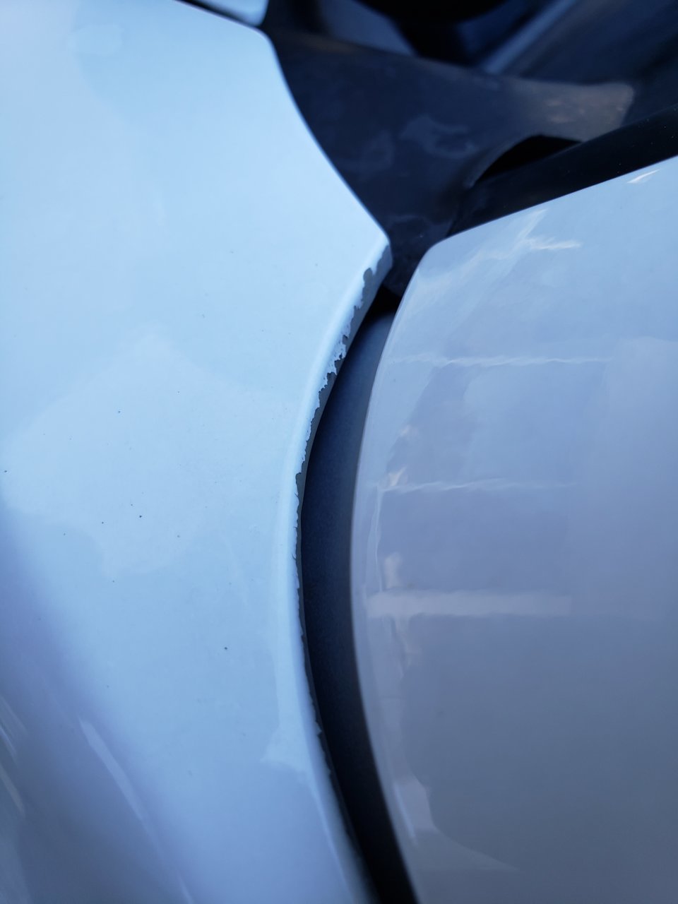 20220211_141817.jpg