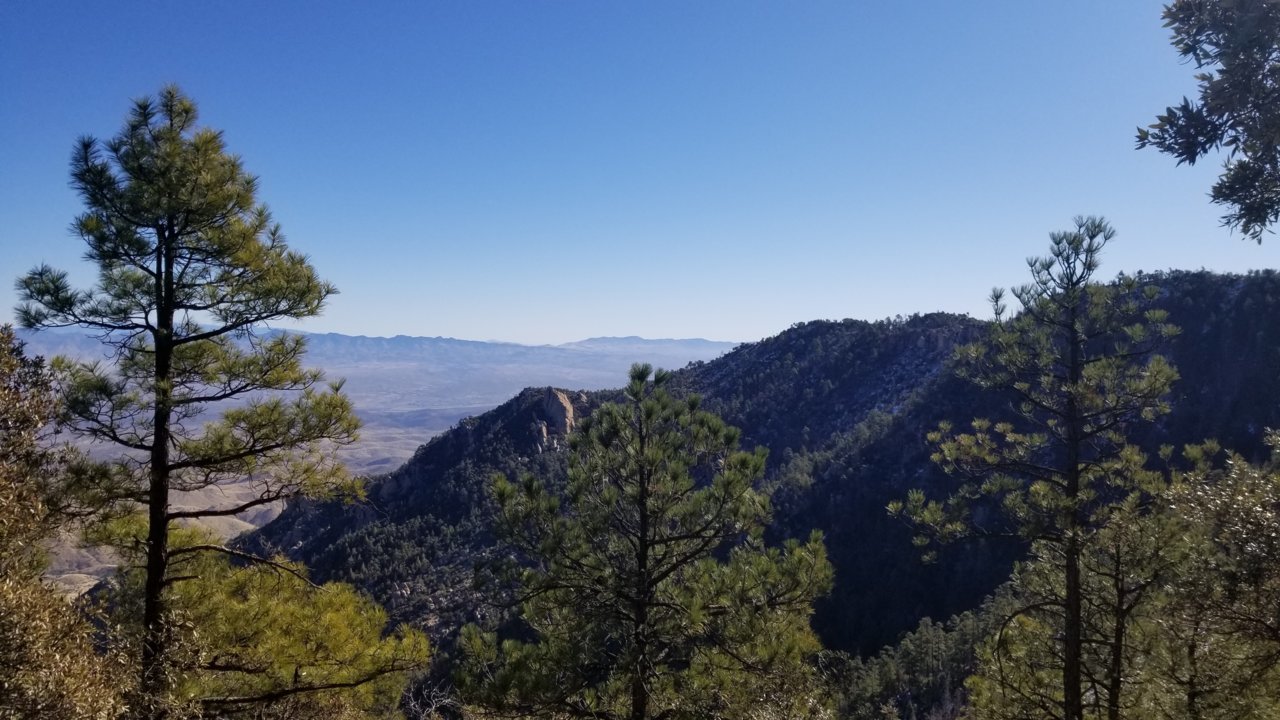 20220213_100246.jpg