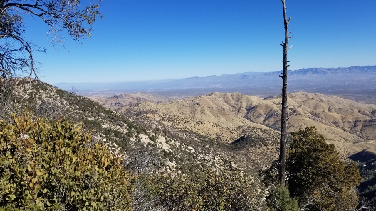 20220213_101550.jpg