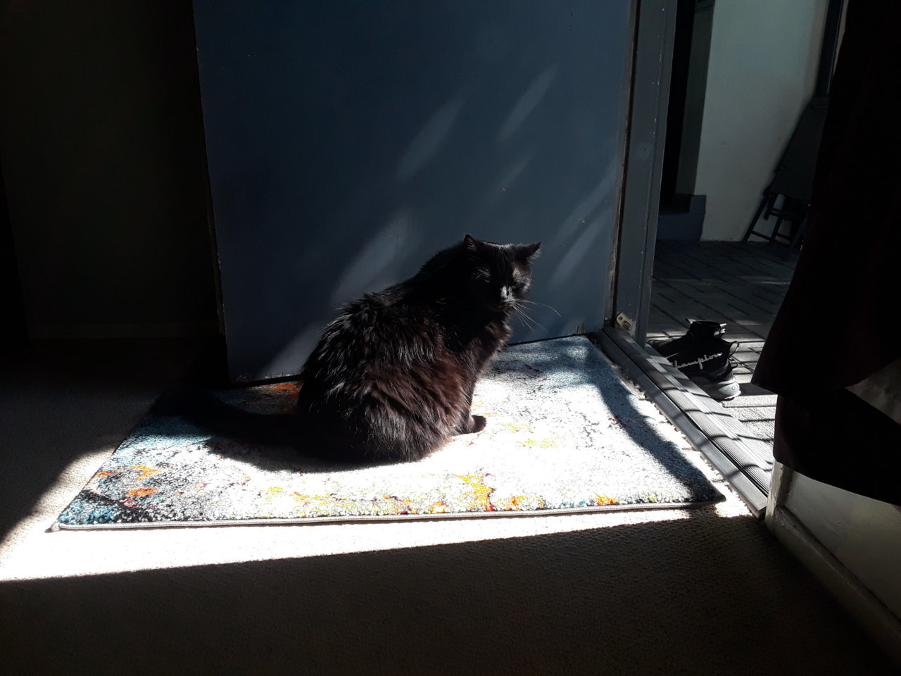 20220213_115535.jpg