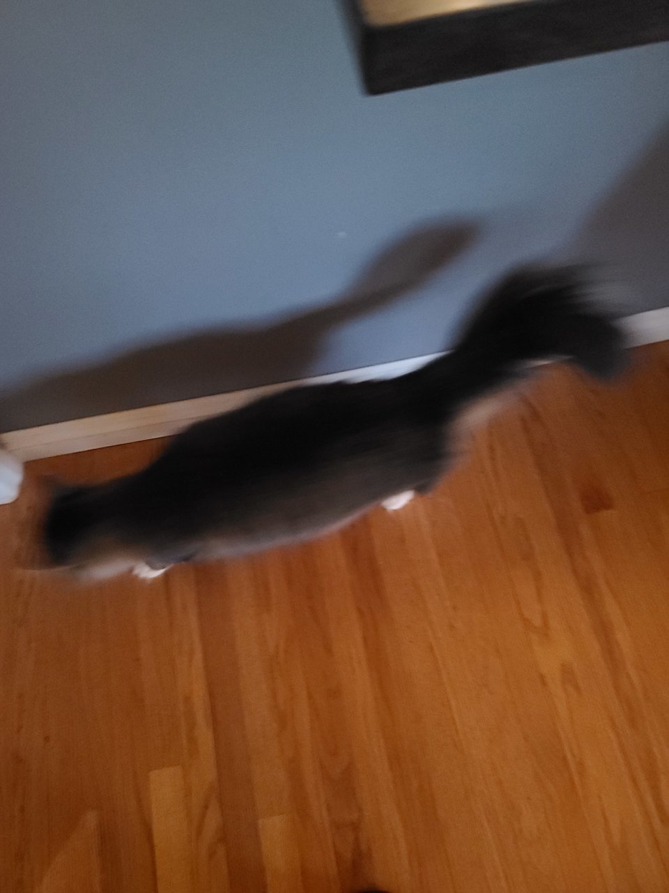 20220213_174007.jpg