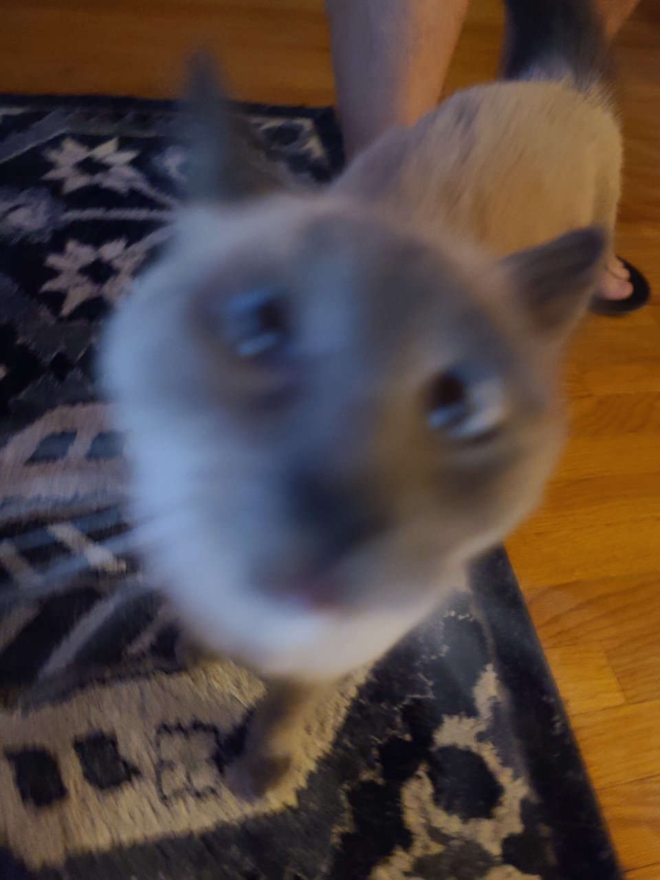 20220213_174024.jpg