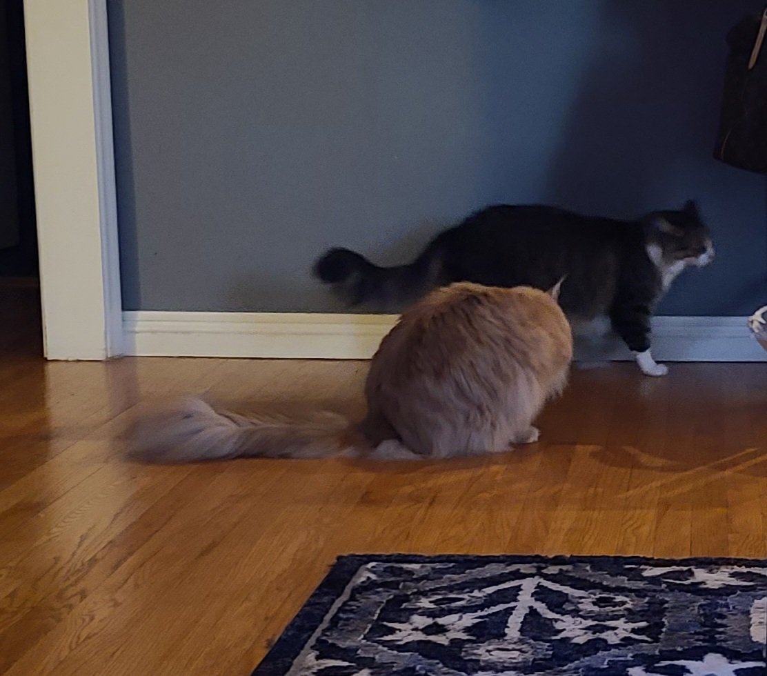 20220213_174155.jpg
