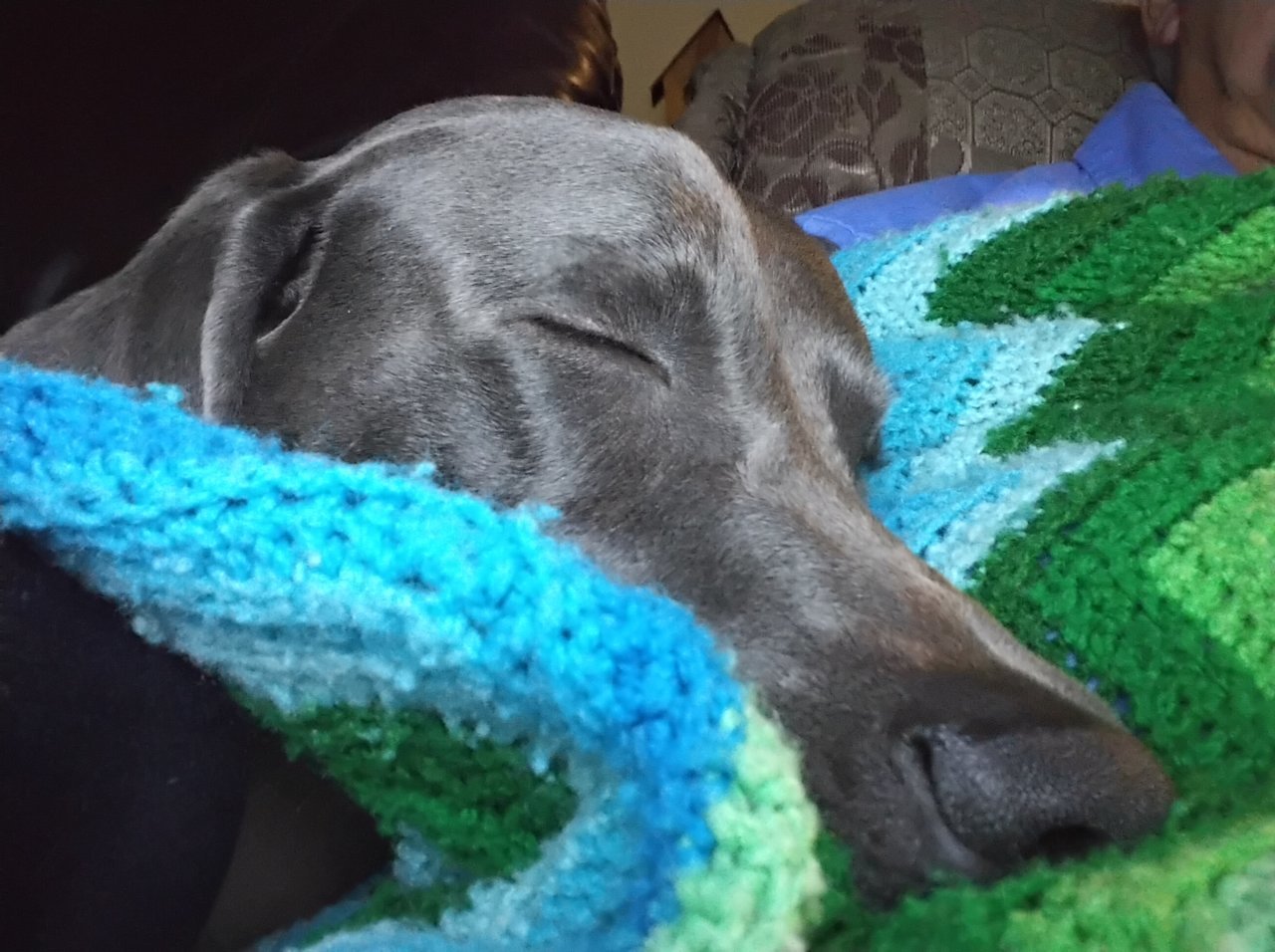 20220213_183130.jpg