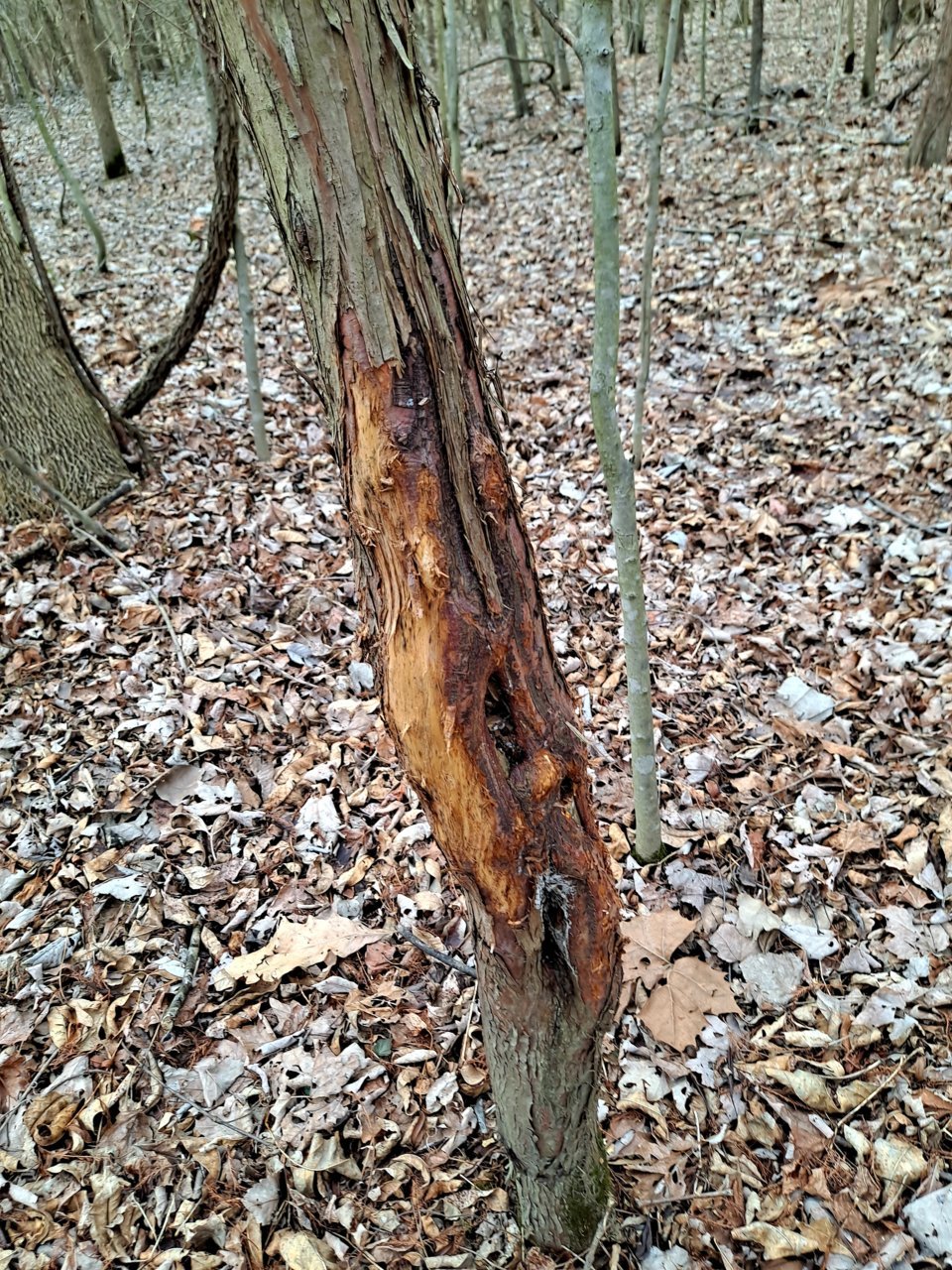 20220216_150906.jpg