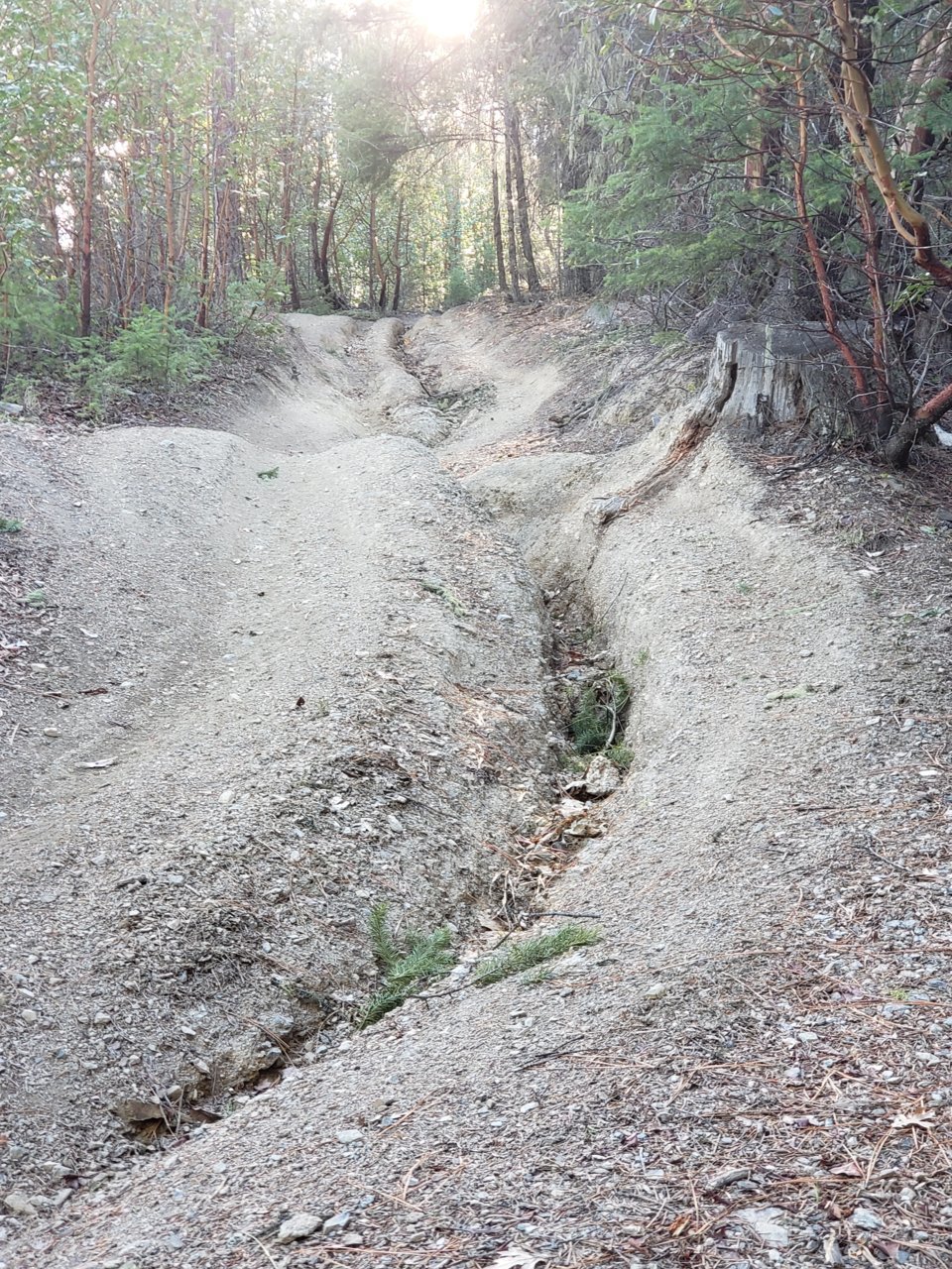 20220216_152340.jpg
