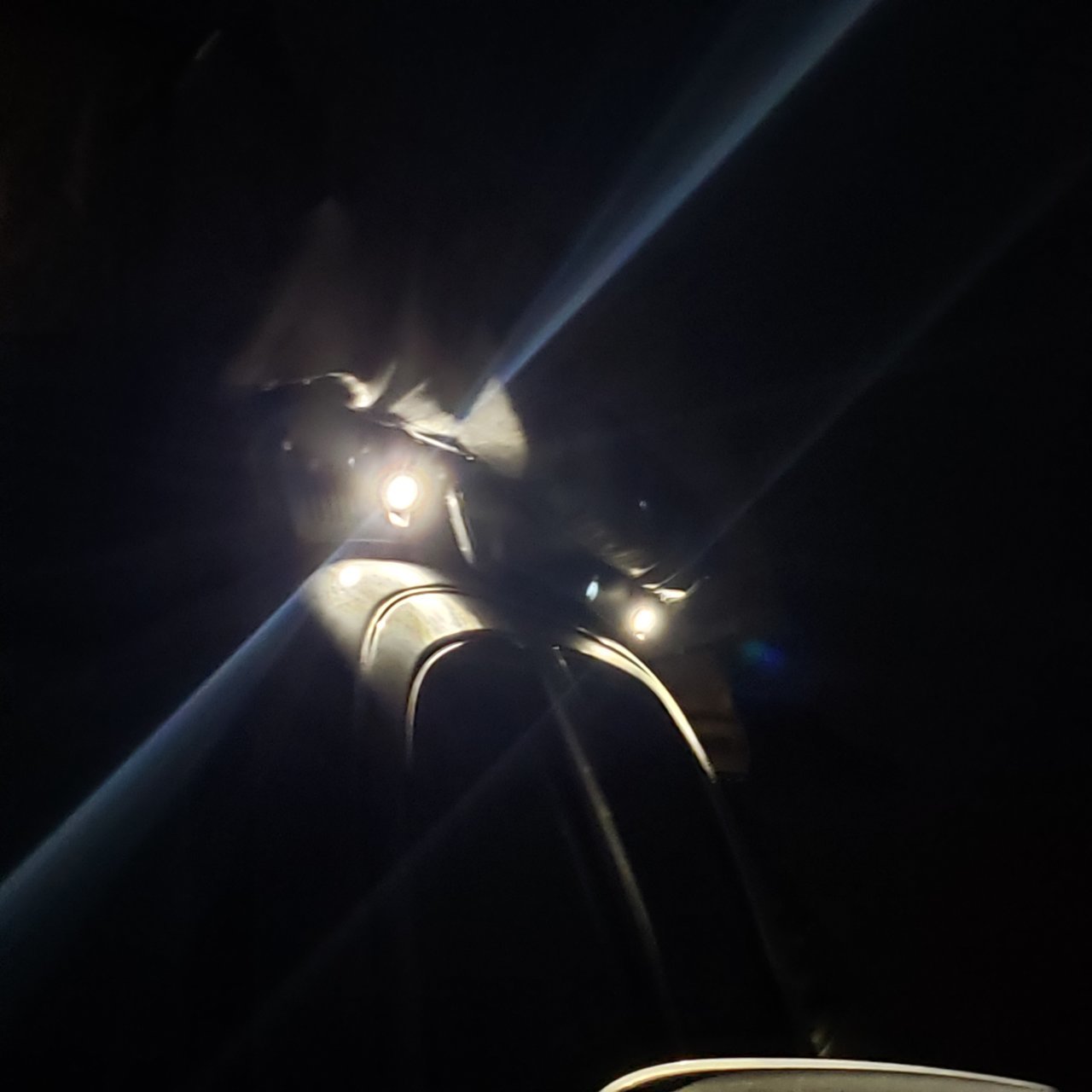 20220219_061637.jpg
